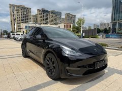 Tesla Model Y Standard Range Edition - ფოტო 3