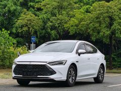 BYD PLUS Edition DM-i 55KM Version - ფოტო 1
