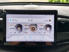 BYD PLUS Edition DM-i 55KM Version - ფოტო 18
