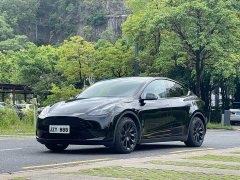Tesla Model Y Edition - ფოტო 1