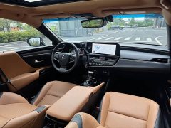 Lexus ES 300h Edition - ფოტო 6
