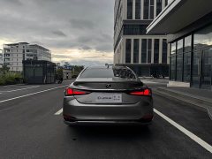Lexus ES 300h Edition - ფოტო 9