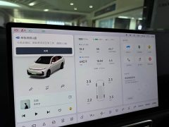 Li Auto L7 Pro - ფოტო 20