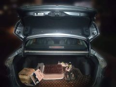 Changan PLUS 1.6L GDI Luxury Version - ფოტო 20
