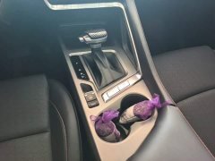 Changan CS35PLUS NE 1.4T DCTLuxury Version - ფოტო 16