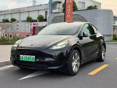 Tesla Model Y Edition - ფოტო 1