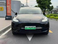 Tesla Model Y Edition - ფოტო 2