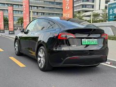 Tesla Model Y Edition - ფოტო 3