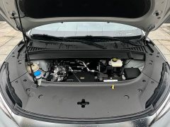 BYD PLUS 430KM Premium Version - ფოტო 10