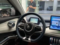 BYD PLUS 430KM Premium Version - ფოტო 13