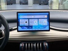 BYD PLUS 430KM Premium Version - ფოტო 17