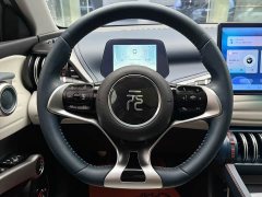 BYD PLUS 430KM Premium Version - ფოტო 19