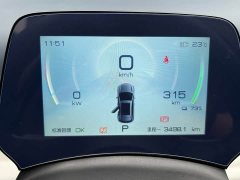 BYD PLUS 430KM Premium Version - ფოტო 20