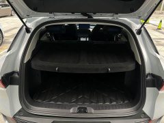 BYD PLUS 430KM Premium Version - ფოტო 9