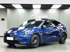 Tesla Model Y Edition - ფოტო 1