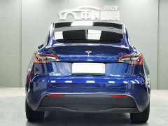 Tesla Model Y Edition - ფოტო 5
