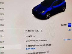 Tesla Model Y Edition - ფოტო 8