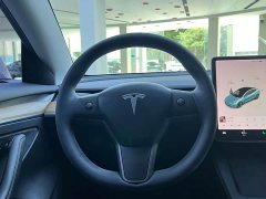 Tesla Model 3 Standard Range Edition 3D1 - ფოტო 10