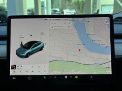 Tesla Model 3 Standard Range Edition 3D1 - ფოტო 11