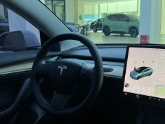 Tesla Model 3 Standard Range Edition 3D1 - ფოტო 12