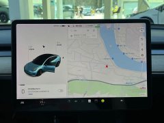 Tesla Model 3 Standard Range Edition 3D1 - ფოტო 15