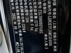 Tesla Model 3 Standard Range Edition 3D1 - ფოტო 18
