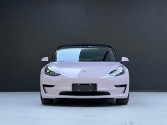 Tesla Model 3 Standard Range Edition 3D1 - ფოტო 3