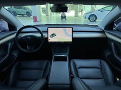 Tesla Model 3 Standard Range Edition 3D1 - ფოტო 8