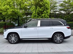 Mercedes-Benz GLS 600 4MATIC Edition - ფოტო 3