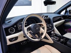 Porsche PHEV 3.0T PHEV - ფოტო 8