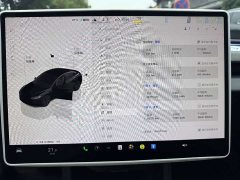 Tesla Model 3 Long Range Edition - ფოტო 10