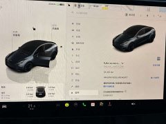 Tesla Model Y PerformancePerformance Edition - ფოტო 10