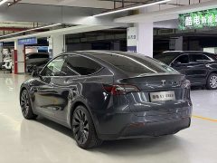 Tesla Model Y PerformancePerformance Edition - ფოტო 5