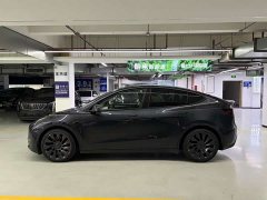 Tesla Model Y PerformancePerformance Edition - ფოტო 6