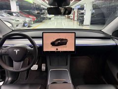 Tesla Model Y PerformancePerformance Edition - ფოტო 9