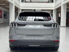 Ford Edition(Standard Range) - ფოტო 6