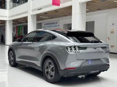 Ford Edition(Standard Range) - ფოტო 7