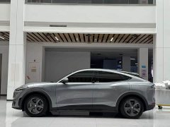 Ford Edition(Standard Range) - ფოტო 8