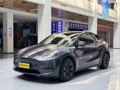 Tesla Model Y Edition - ფოტო 1