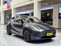 Tesla Model Y Edition - ფოტო 3