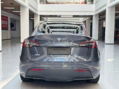 Tesla Model Y Edition - ფოტო 6