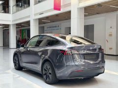 Tesla Model Y Edition - ფოტო 7