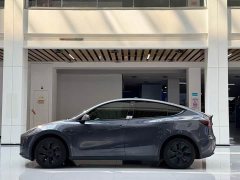 Tesla Model Y Edition - ფოტო 8