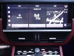 Porsche Cayenne Coupé 3.0T - ფოტო 10