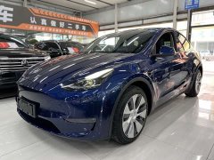 Tesla Model Y Long Range Edition 3D7 - ფოტო 1