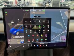 Tesla Model Y Long Range Edition 3D7 - ფოტო 10
