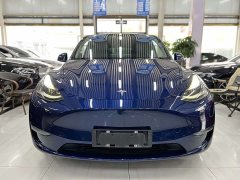 Tesla Model Y Long Range Edition 3D7 - ფოტო 2