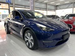 Tesla Model Y Long Range Edition 3D7 - ფოტო 3