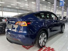 Tesla Model Y Long Range Edition 3D7 - ფოტო 7