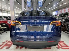 Tesla Model Y Long Range Edition 3D7 - ფოტო 8